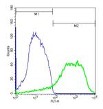 Phospho-IKKi (Ser172) Antibody in Flow Cytometry (Flow)