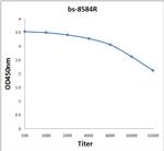PXMP1 Antibody in ELISA (ELISA)
