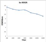hnRNP U Antibody in ELISA (ELISA)