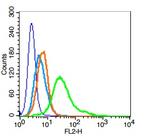 Geminin Antibody in Flow Cytometry (Flow)