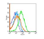 Phospho-Stathmin 1 (Ser63) Antibody in Flow Cytometry (Flow)