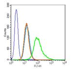 alpha Tubulin Antibody in Flow Cytometry (Flow)