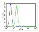 TIMP2 Antibody in Flow Cytometry (Flow)