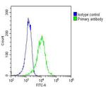 RAB27B Antibody in Flow Cytometry (Flow)