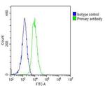 FGFR1OP2 Antibody in Flow Cytometry (Flow)