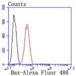 Bax Antibody in Flow Cytometry (Flow)