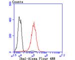 AIF1 Antibody in Flow Cytometry (Flow)