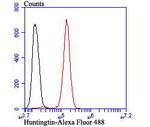 Huntingtin Antibody in Flow Cytometry (Flow)