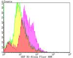 ARHGEF2 Antibody in Flow Cytometry (Flow)