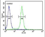c-Fos Antibody in Flow Cytometry (Flow)
