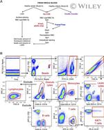 CD14 Antibody in Flow Cytometry (Flow)