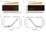 Multispecies EGFR In-Cell ELISA Kit, Colorimetric