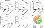 IFN gamma Antibody in Flow Cytometry (Flow)