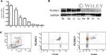 F4/80 Antibody in Flow Cytometry (Flow)