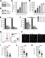PIR-A/B Antibody in Flow Cytometry (Flow)