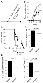 CD4 Antibody in Flow Cytometry (Flow)