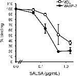 MBL2 Antibody in ELISA (ELISA)