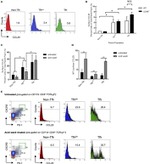 TCR beta Antibody in Flow Cytometry (Flow)