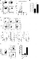 CD11b Antibody in Flow Cytometry (Flow)