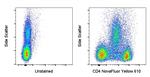 CD4 Antibody in Flow Cytometry (Flow)