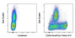 CD8a Antibody in Flow Cytometry (Flow)