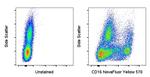 CD16 Antibody in Flow Cytometry (Flow)