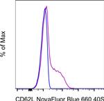 CD62L (L-Selectin) Antibody in Flow Cytometry (Flow)