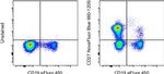 CD27 Antibody in Flow Cytometry (Flow)