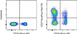 CD27 Antibody in Flow Cytometry (Flow)