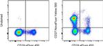 CD27 Antibody in Flow Cytometry (Flow)