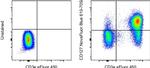 CD127 Antibody in Flow Cytometry (Flow)