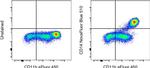 CD14 Antibody in Flow Cytometry (Flow)