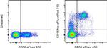 CD16 Antibody in Flow Cytometry (Flow)