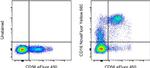 CD16 Antibody in Flow Cytometry (Flow)