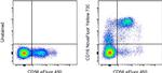 CD16 Antibody in Flow Cytometry (Flow)