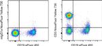 CD3 Antibody in Flow Cytometry (Flow)