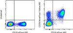 CD39 Antibody in Flow Cytometry (Flow)