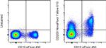 CD200 Antibody in Flow Cytometry (Flow)