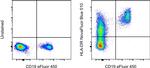 HLA-DR Antibody in Flow Cytometry (Flow)