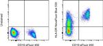 HLA-DR Antibody in Flow Cytometry (Flow)