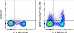 CD25 Antibody in Flow Cytometry (Flow)