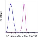 CD10 Antibody in Flow Cytometry (Flow)