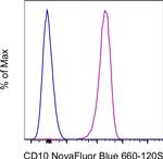 CD10 Antibody in Flow Cytometry (Flow)