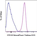 CD10 Antibody in Flow Cytometry (Flow)