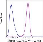 CD10 Antibody in Flow Cytometry (Flow)