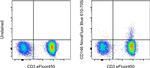 CD146 Antibody in Flow Cytometry (Flow)