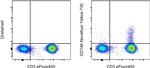 CD146 Antibody in Flow Cytometry (Flow)
