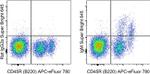 Mouse IgM Monoclonal Antibody (II/41), Super Bright™ 645, eBioscience™