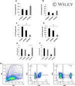 CD4 Antibody in Flow Cytometry (Flow)