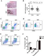CD11b Antibody in Flow Cytometry (Flow)